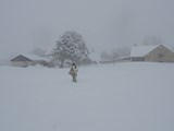 Margit i sneen på Åhave